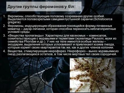 Феромоны вызывающие