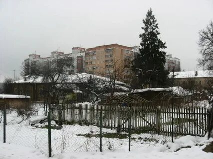 Прогноз дедовск