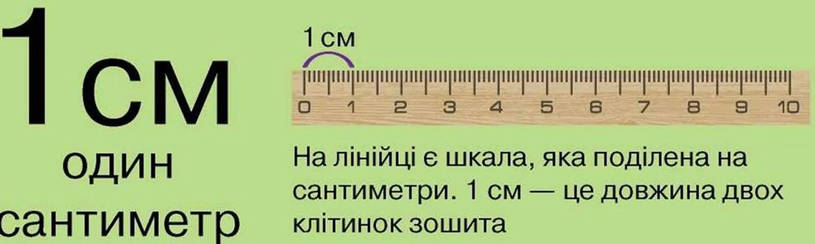 Сантиметр. Один сантиметр. Сантиметр см. Метры дециметры сантиметры.