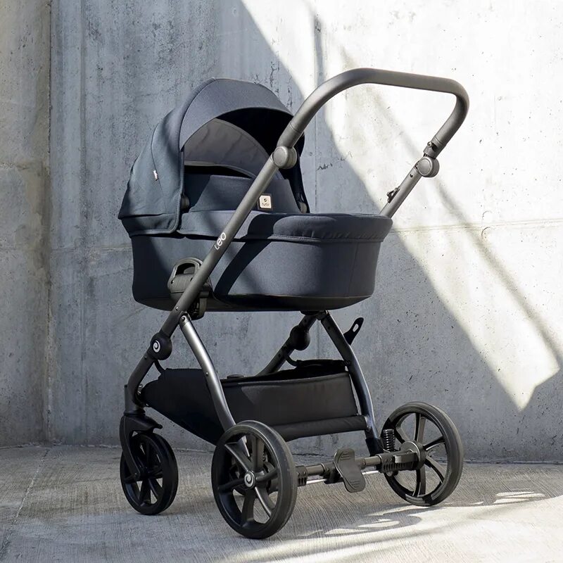 Тутис лео. Тутис лео. Тутис лео. Тутис лео. Тутис лео.