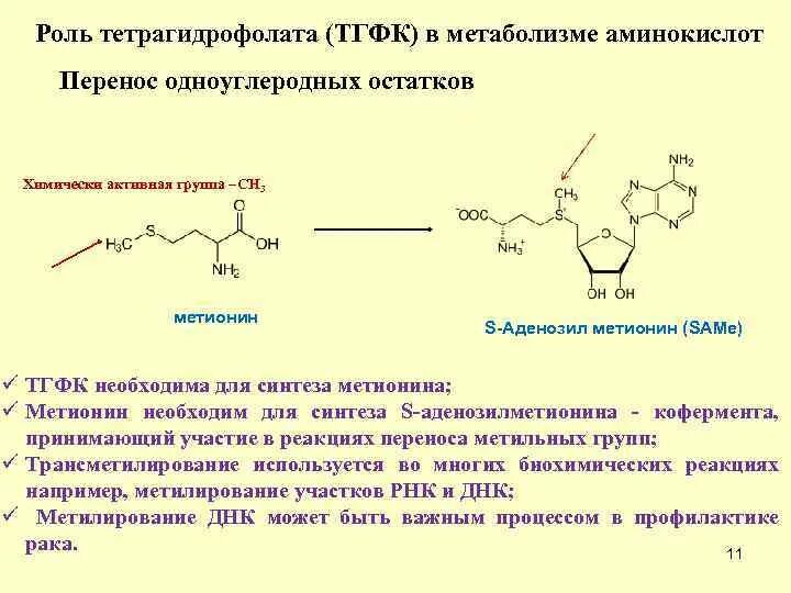Роль ТГФК В метаболизме одноуглеродных групп. Тетрагидрофолиевая кислота Синтез. Схема метаболизма ароматических аминокислот. Реакции синтеза витамина в3. Структура активного метионина