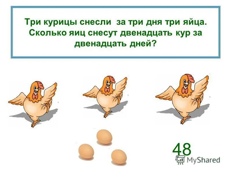 День 3 куриный. Сколько яиц несет Несушка в день. Сколько яиц несет курица в день. Сколько яиц несет курица в год. Сколько яиц несет курица Несушка.