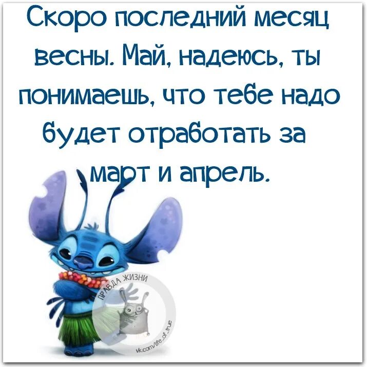 Цитаты про май из книг. Смешные фразы. веселые фразы. смешные цитаты. прикольные фразы.