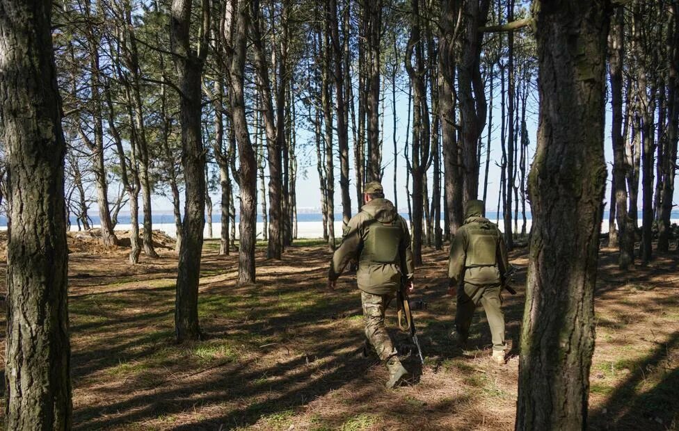 Дрг в брянской области сегодня. Прорыв ДРГ В Брянской области. ДРГ В Брянской области погранцы. ДРГ на Брянщине.