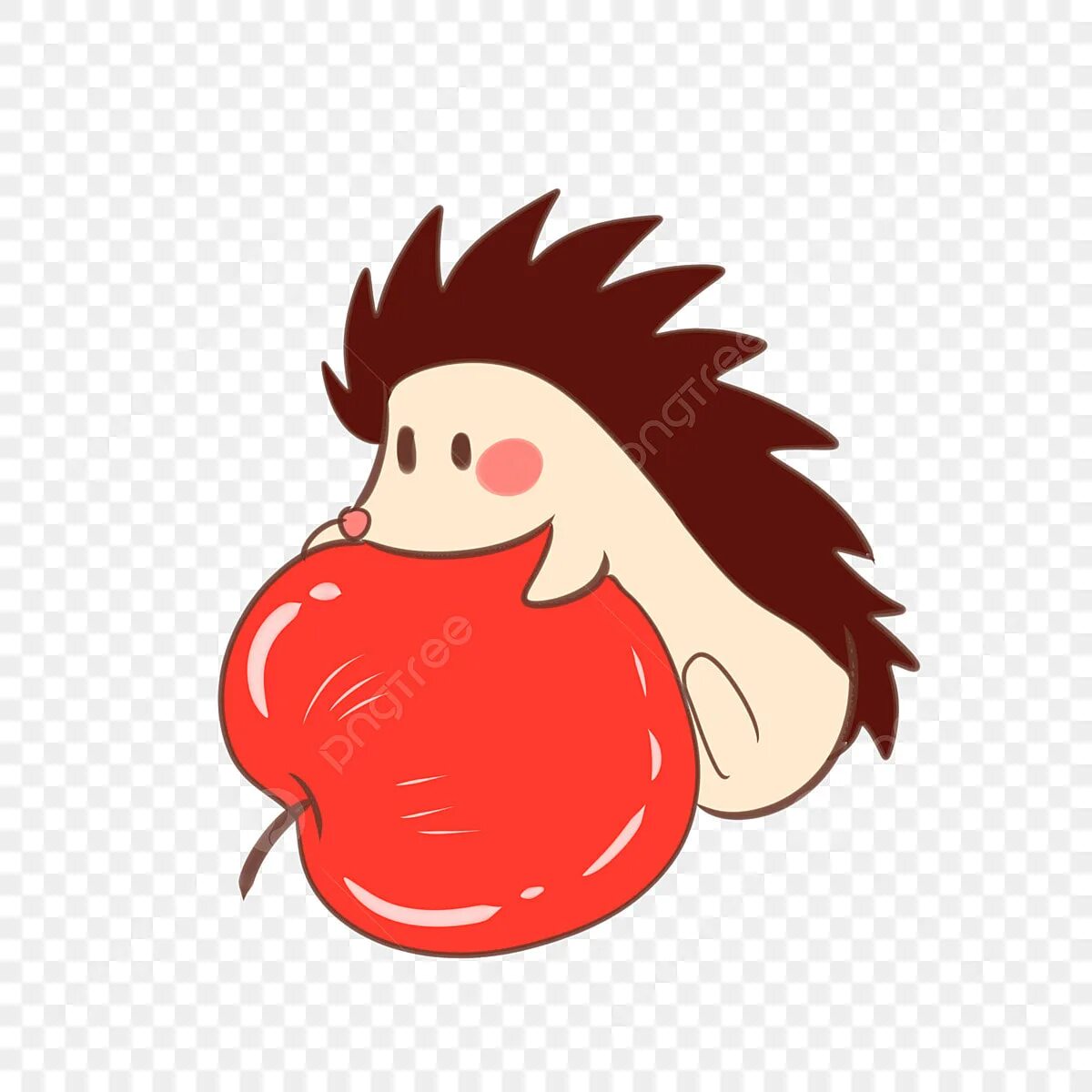 Ёжик ест яблоко рисунок. Ежик ест яблоко PNG. Hedgehog eating PNG. Еж есть яблоки