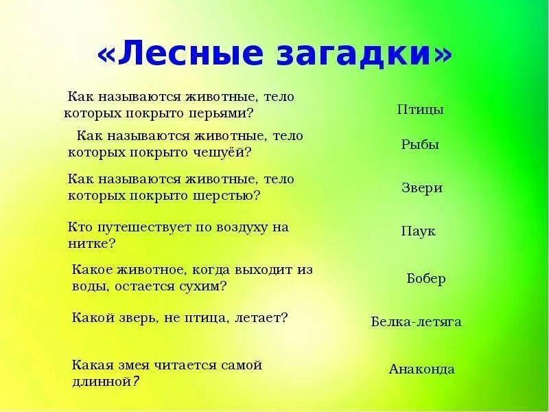 5 вопросов коротких
