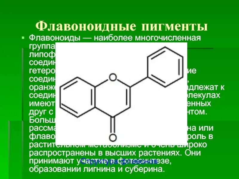 Виды флавоноидов. Флавоноиды. Флавоноиды классификация. Биосинтез флавоноидов. Флавоноидные пигменты.