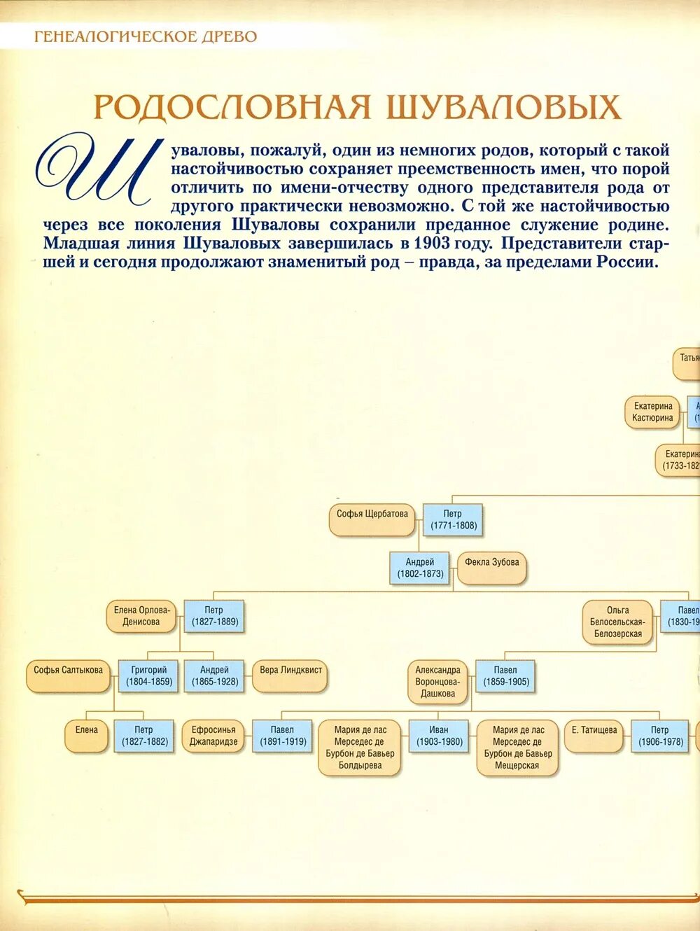 Отпрыск рода орловых том 5. Династия Шуваловых Древо. Родословное Древо Династия Рябушинских. Шувалов родословная. Род Рябушинских генеалогическое Древо.