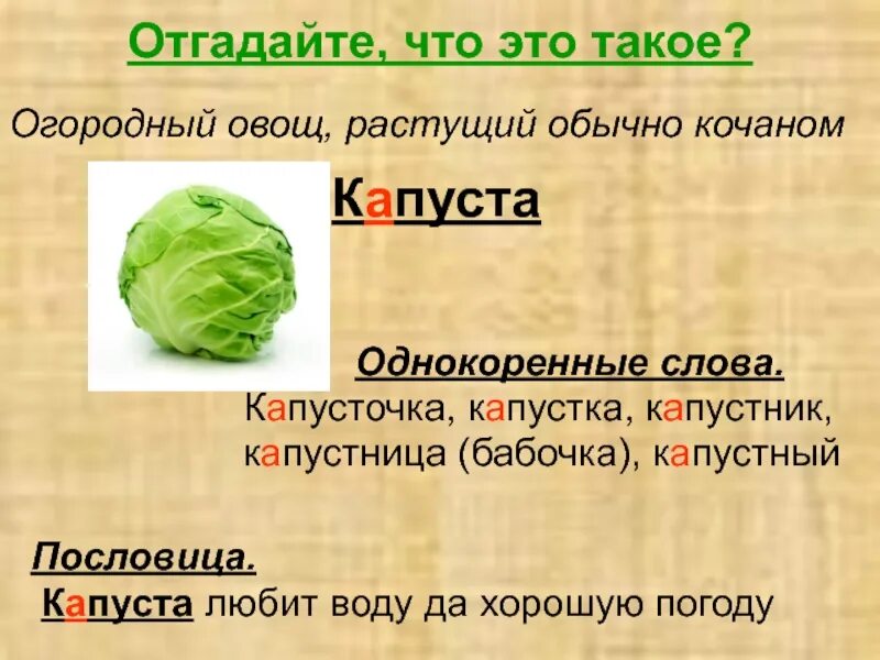 Как правильно говорить капусту. Капуста словарное слово. предложение со словом капуста. словарное слово капуста в картинках. предложение про капусту.