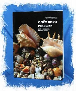 Книга ракушек