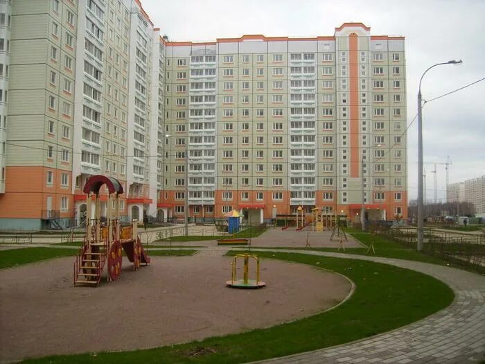 Жилье кузнечики