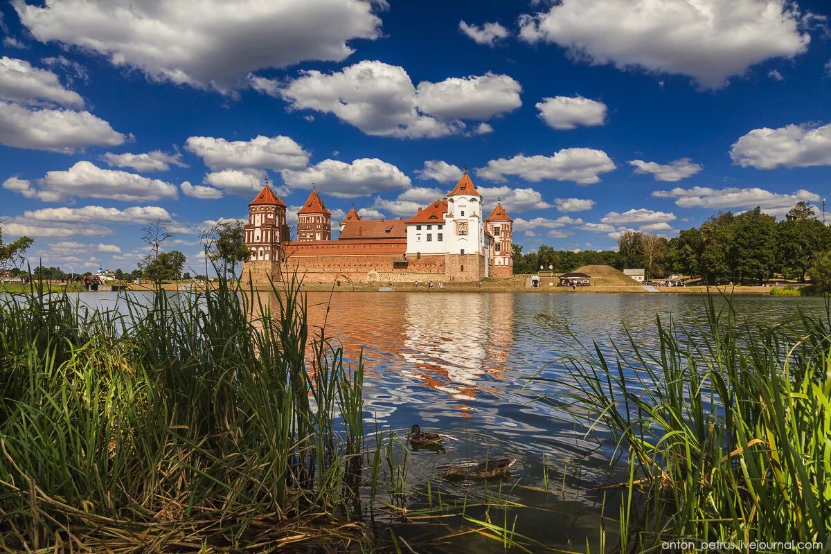 Картинка беларусь