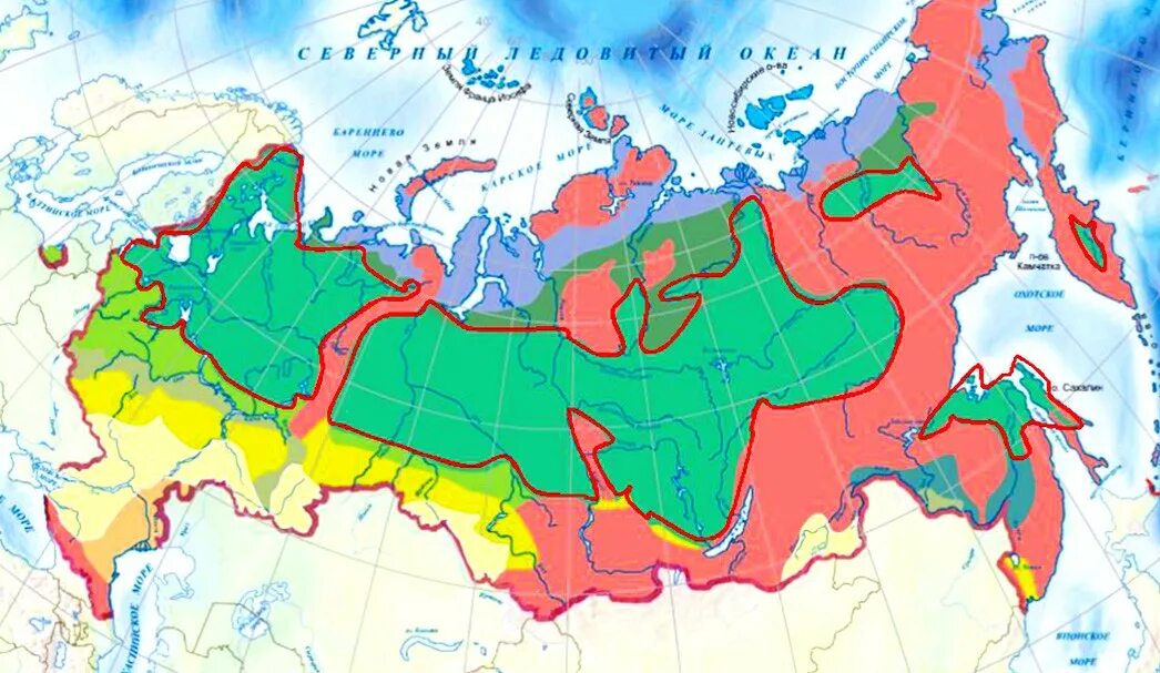 Тайга на карте России природных зон. Зона тайги на карте России. Климатические зона Тайга Россия на карте. Тайга на карте России с границами.