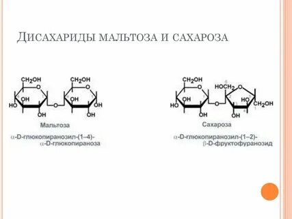 Строение дисахарида мальтозы