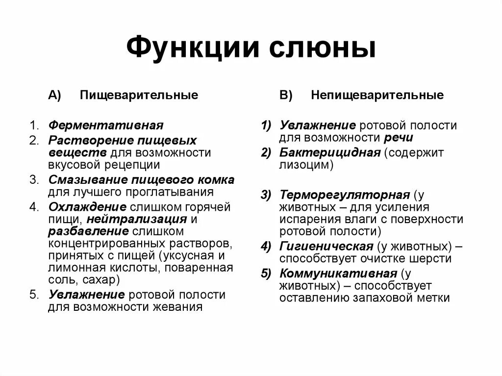 4 функции слюны