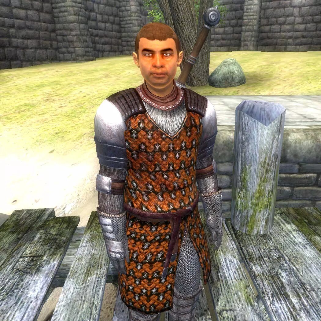 Unofficial oblivion