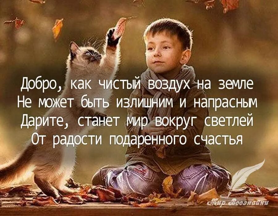 Цитаты о благотворительности и добрых делах. Цитаты про доброту. высказывания о доброте. высказывания о добрых людях. высказывания про добрые дела.