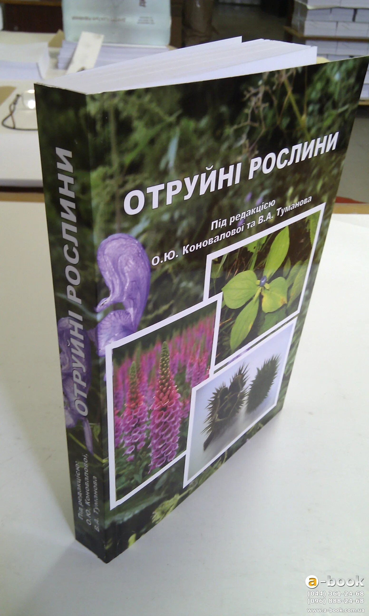 Издать книгу в одном экземпляре. Печать книги 1 экземпляр. Единичный экземпляр книги. Напечатать книгу в одном экземпляре. Напечатать книгу в экземпляре цена