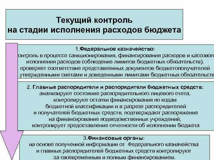 Контроль исполнения бюджета. Этапы исполнения бюджета по расходам. Упреждающий контроль бюджетирование. Текущий контроль стадии. Федеральное казначейство расходы