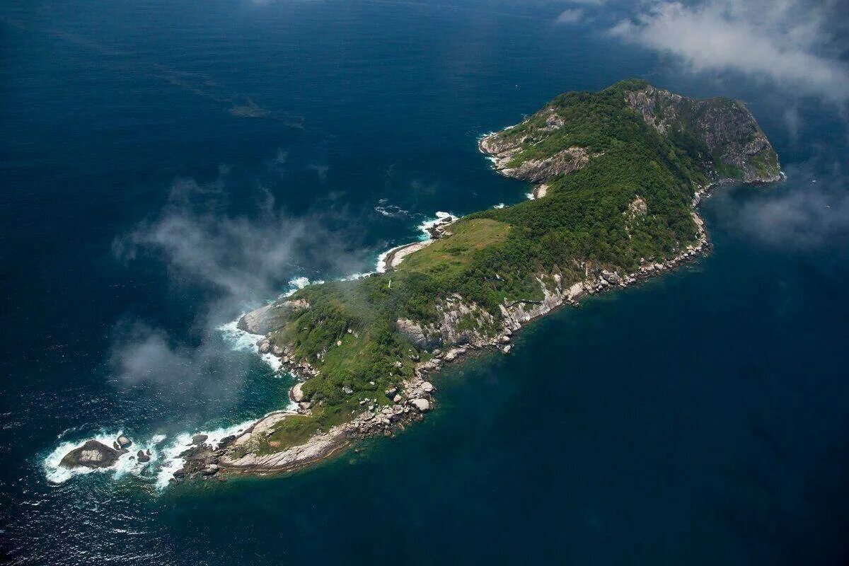 Острова змеиный где. Остров Кеймада-Гранди Бразилия. Остров змей Кеймада-Гранди. Змеиный остров Кеймада-Гранди Бразилия. Змеиный остров Сан Паулу.