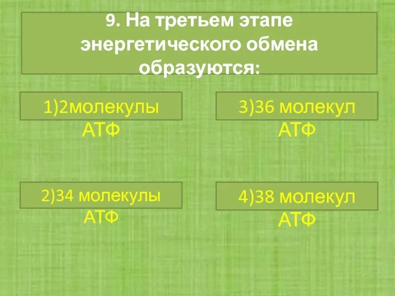 Третий этап энергетического обмена. На трёх этапах энергетического обмена образуется. На третьем этапе энергетического обмена АТФ. Этапы энергетического обмена.