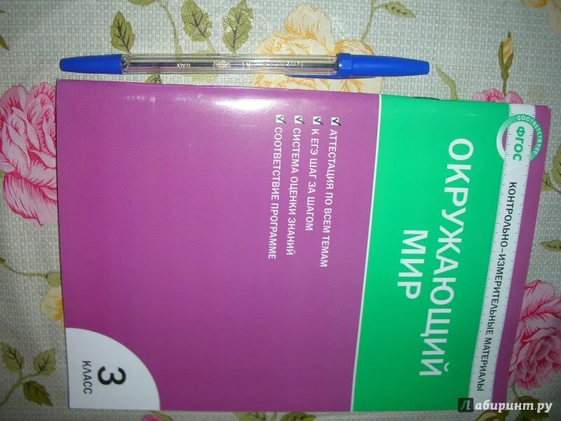 Контрольно измерительные материалы биология 6 класс ответы.