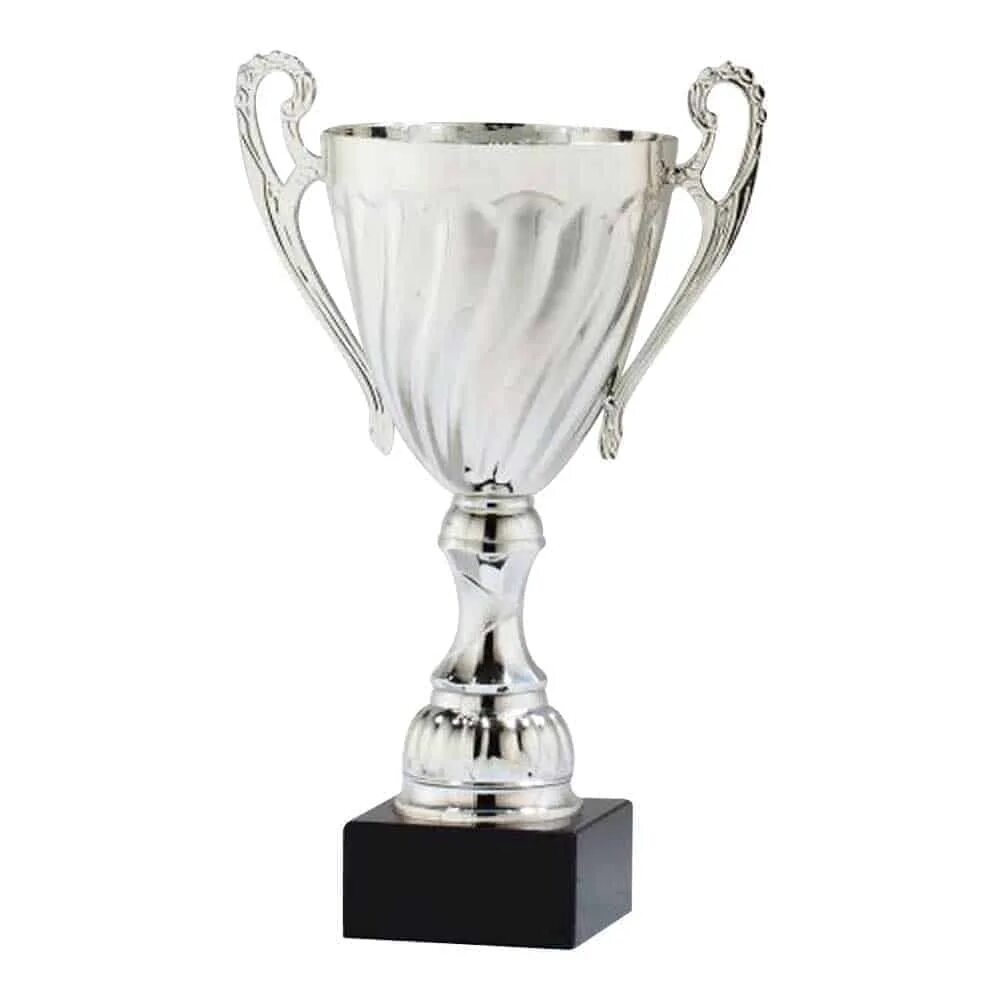 Silver Trophy. Кубок чемпионов. Silver frame Trophy. Silver Cup Band. Metal cup