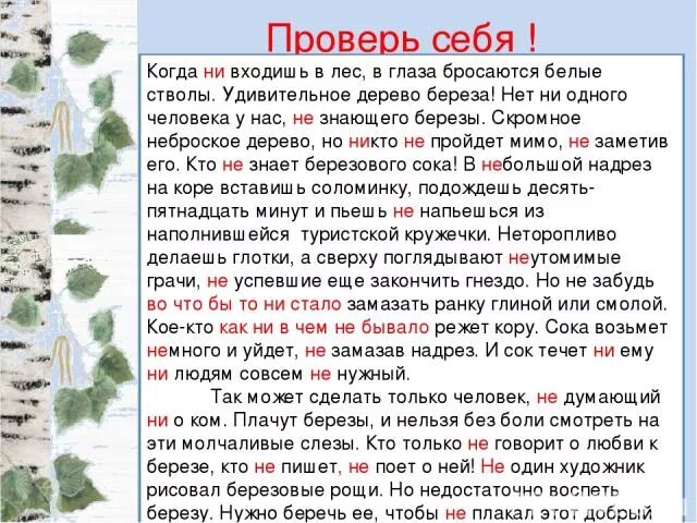 Ни дерево ни вода ничто. Когда не входишь в лес в глаза бросаются белые. Текст береза когда не входишь в лес в глаза бросаются. Диктант берёза когда не входишь в лес в глаза. Когда не входишь в лес в глаза бросаются белые стволы диктант.