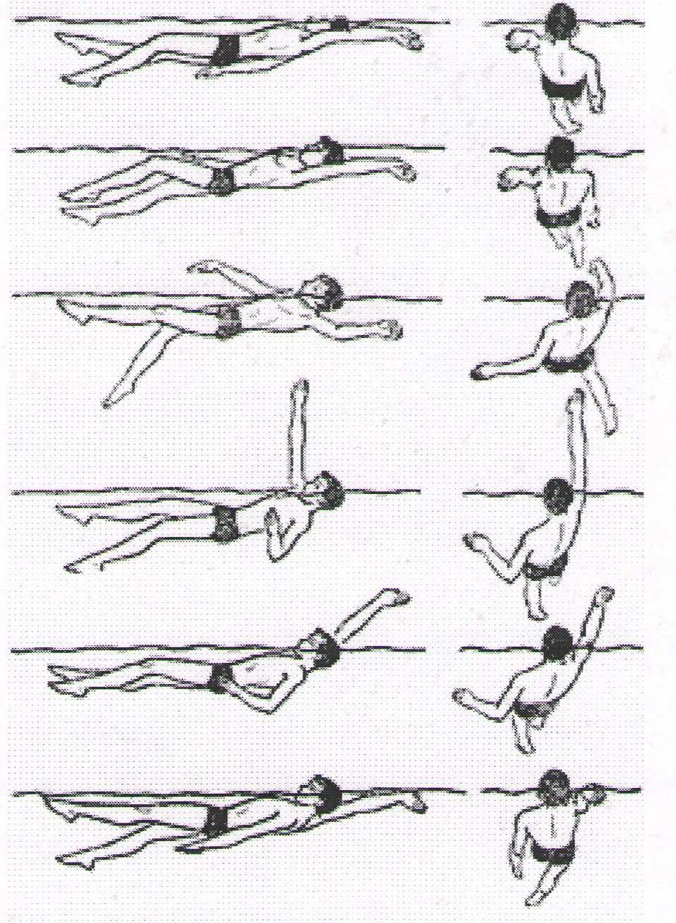 Кроль на спине плавание. Схема плавания кролем. Плавать кролем техника для начинающих. Техника плавания Баттерфляй пошагово. Как научиться плавать под