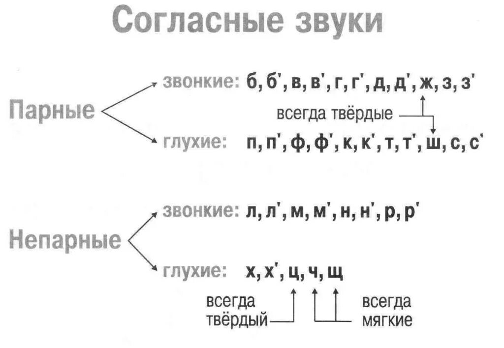 Звуковое система слов