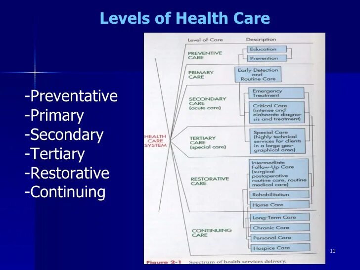 Level health. Levels of product car. Product Levels Healthcare. Ad secondary na Primary. Get the preventative Care.