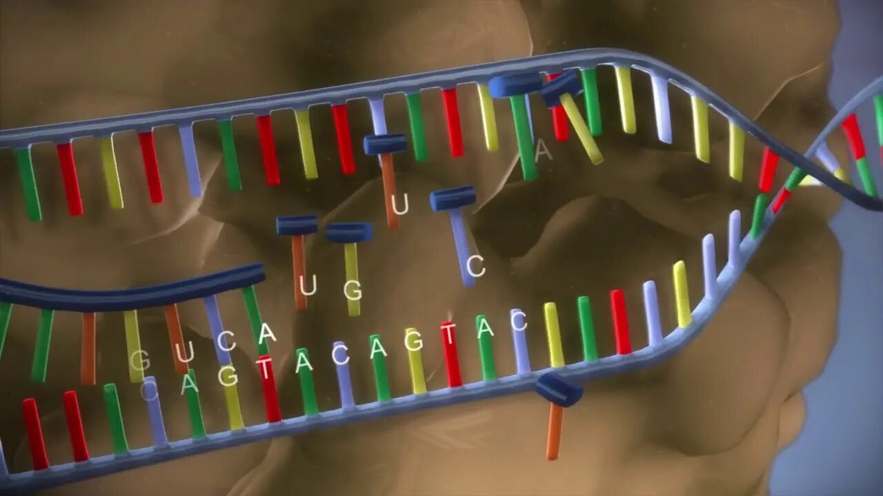 Геномная ДНК. ДНК фото. Генетический код человека. Программирование ДНК.