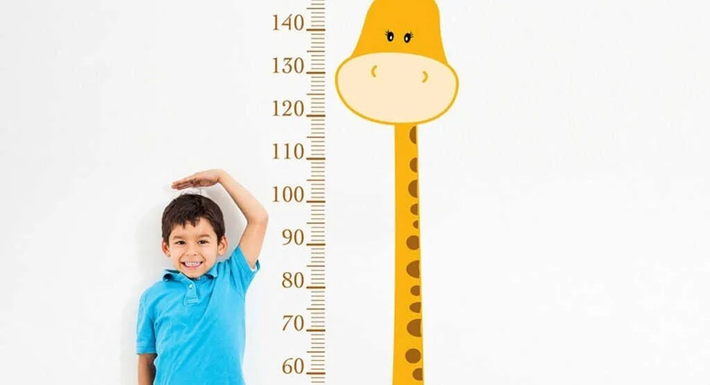 Изменения роста ребенка. Измерение роста человека. Мерить рост. Измеритель роста человека. Линейка роста.