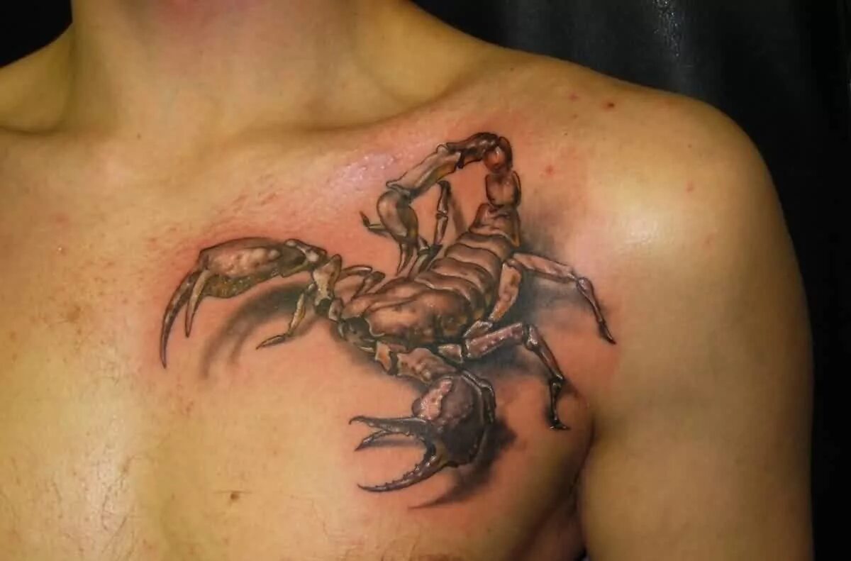 Армейский скорпион. Тату Скорпион. Тату Скорпион на плече. Фото тату скорпиона. Татуировка Скорпион на груди.