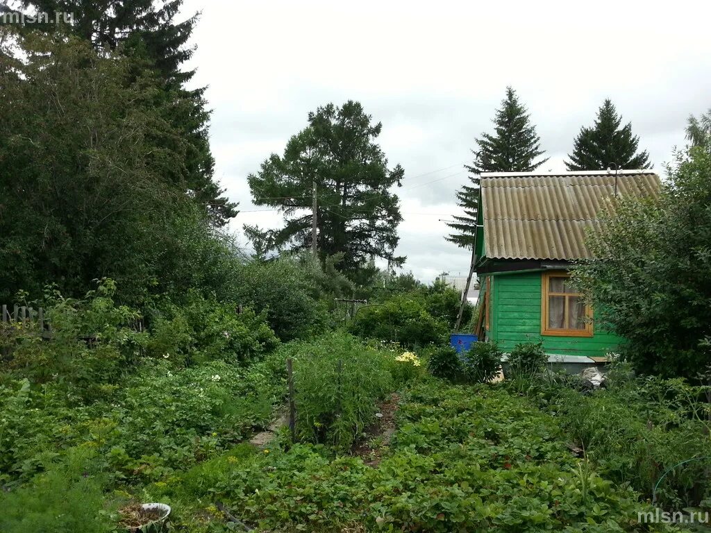 Прим дача. Дачи Восток большой камень. Дача в Приморске. Большой камень СНТ Восток. СНТ Восток большой камень Приморский край.