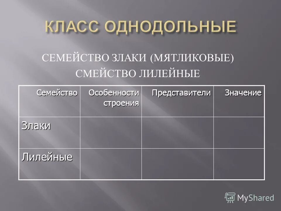 Таблица семейства класса однодольные 6 класс биология. Семейства класса однодольные таблица. Семейство однодольных лилейные злаки луковые. Семейства класса однодольные таблица. Семейство лилейные и злаковые таблица.