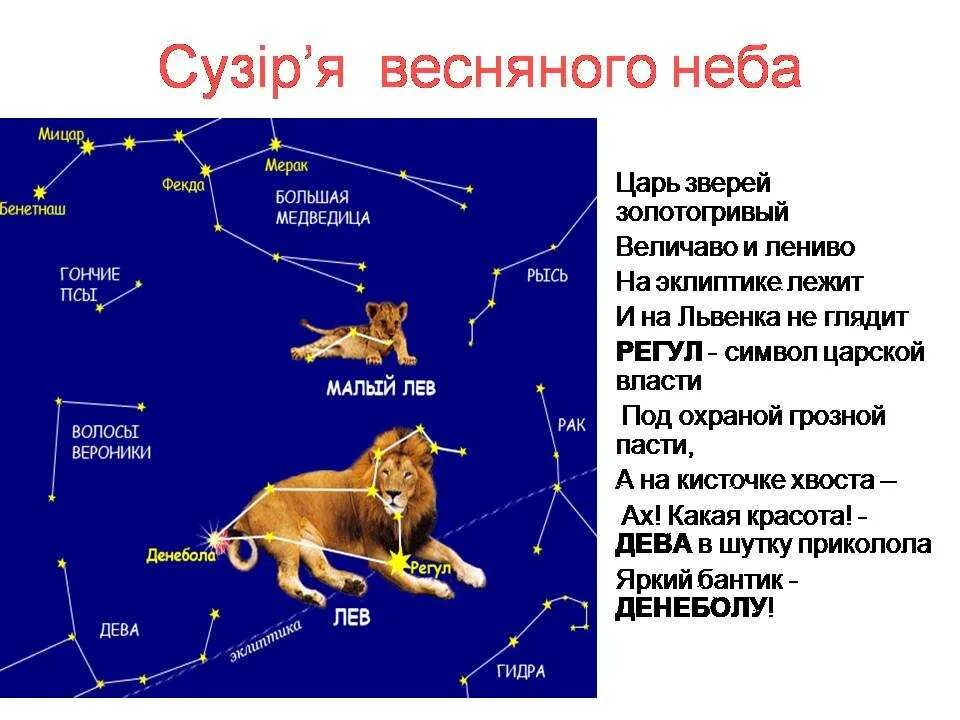 Изготовить созвездие льва 1 класс. Созвездия весеннего неба. Созвездие Льва. Большой Лев Созвездие. Созвездие Льва окружающий мир.