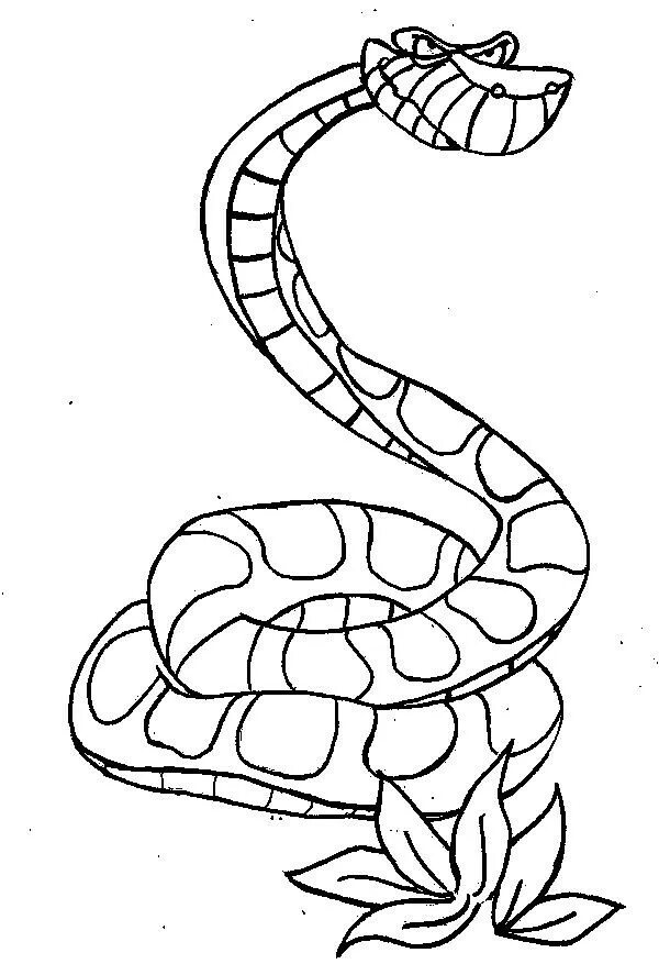 Питон Каа змея. Питон Каа рисунок. Питон Каа из Маугли. Змея раскраска.