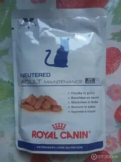 Корм для кошек neutered