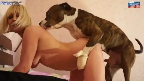 Slideshow team russia petlove horse 