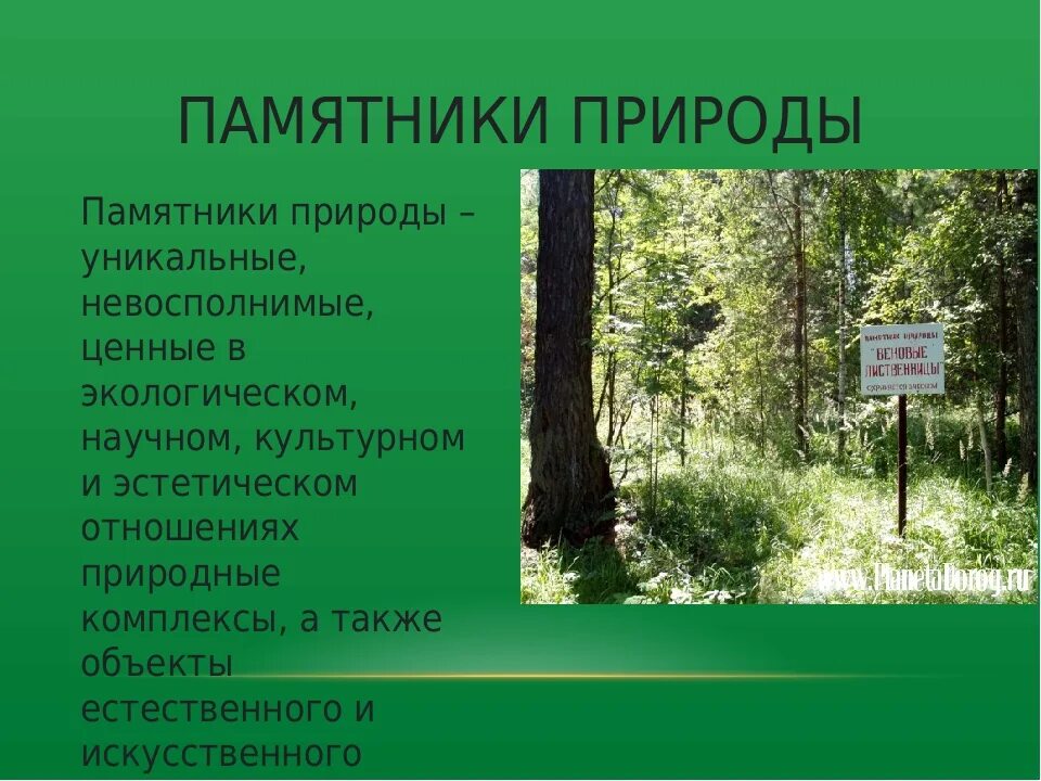 Как называется охраняемая природная территория. Охраняемые природные памятники. Охрана природы памятники природы. Особо охраняемые памятники природы. Экологические памятники природы.