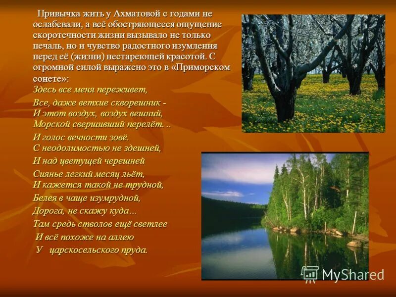 Приморский сонет ахматова стих. Приморский сонет ахматова анализ стихотворения. Приморский сонет. Приморский сонет ахматова. Стихотворение ахматовой приморский сонет.