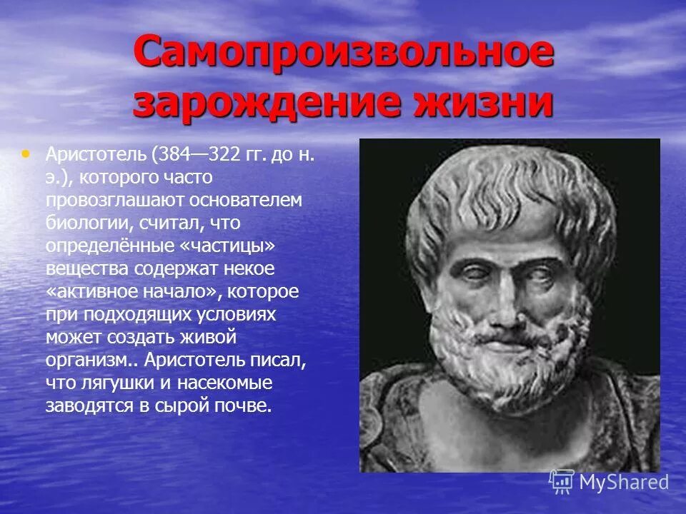 Происхождение жизни самозарождение. Теория зарождения жизни самозарождения. Аристотель самозарождение жизни. Самопроизвольное Зарождение жизни. Гипотеза самопроизвольного зарождения.