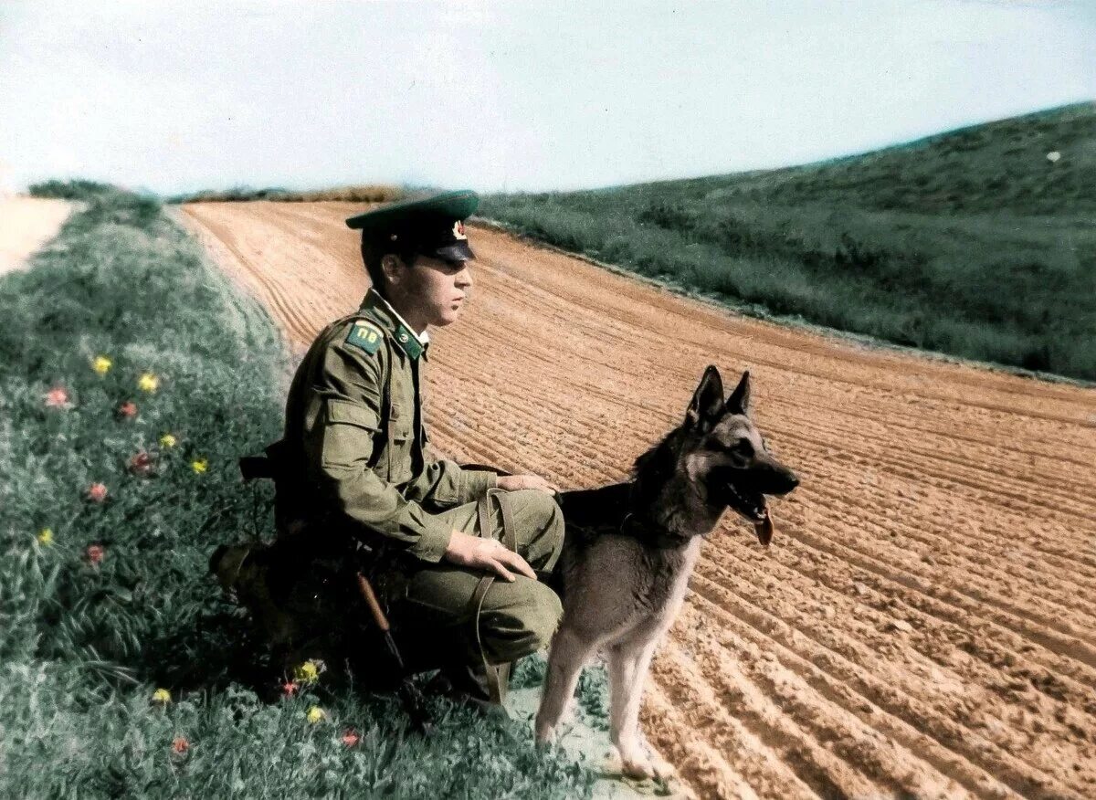 Пограничный пес алый. Пограничник с собакой СССР на границе. Пограничники на заставе СССР. Погран наряд дозор.