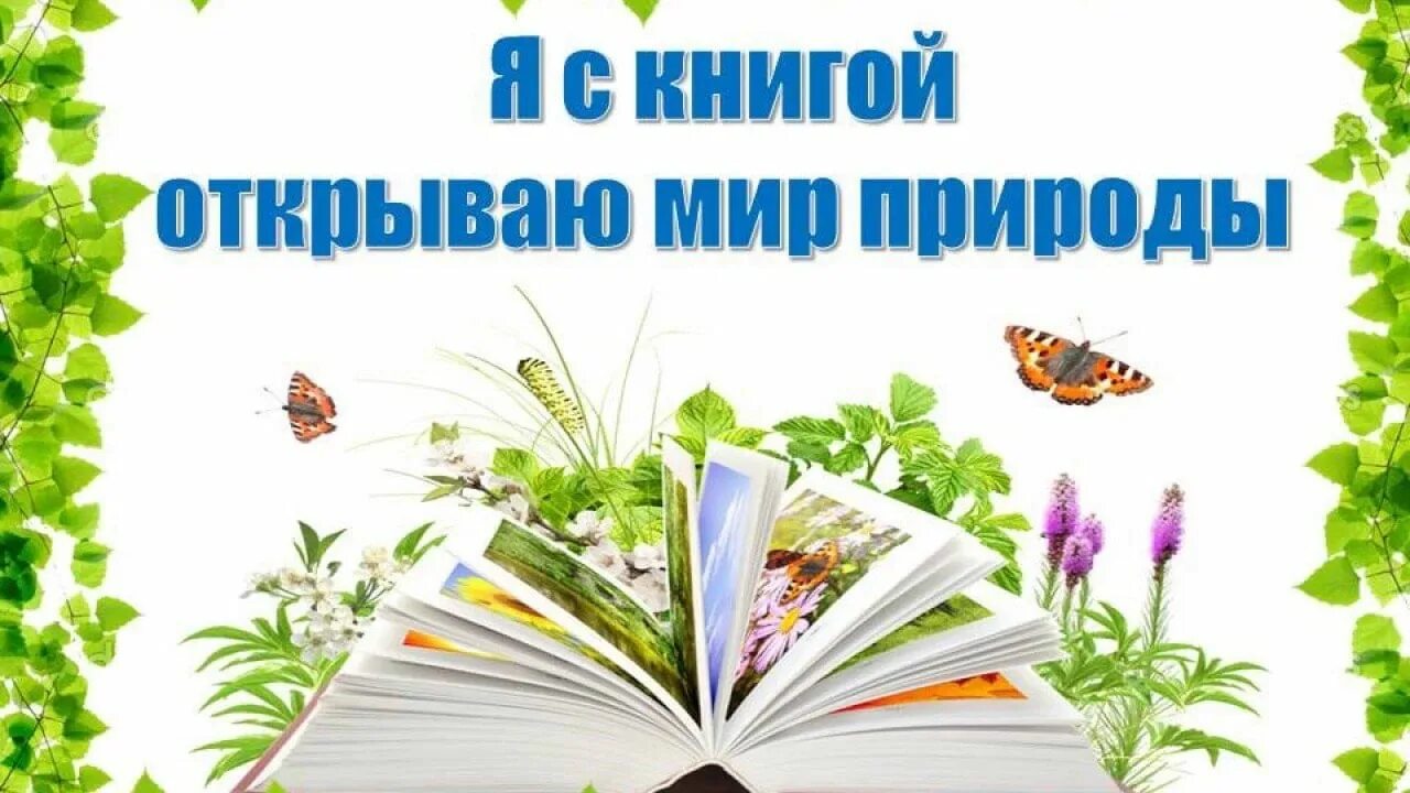 Я С книгой открываю мир природы. Через книгу в мир природы книжная выставка в библиотеке. Через книгу в мир природы. Книги по экологии в библиотеке.