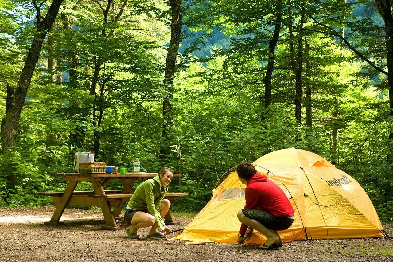 The camp left. Палатка туристическая. Палатка в лесу. Кемпинг на природе. Туризм с палатками.