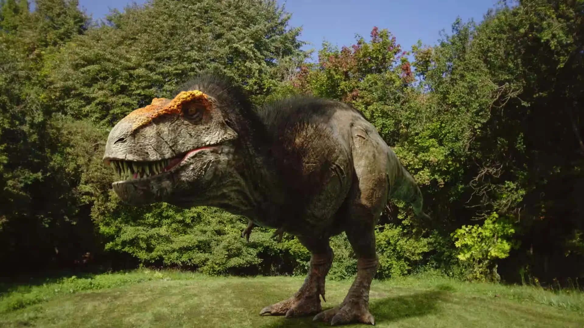 T rex тираннозавр. T rex москва. Тираннозавр рекс. Тирекс парк юрского периода. Тираннозавр скотти реконструкция.