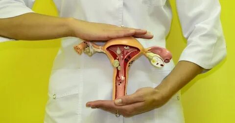 Сексуалды әйелдер жағажай волейболынан бейне