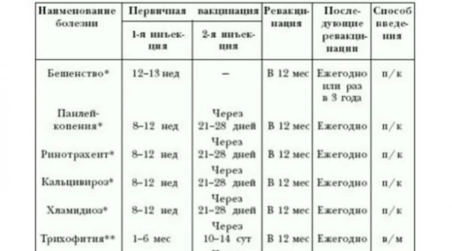 Вакцинация котенка в 3 месяца. Во сколько котятам делают первую прививку. Прививки котятам в 2 месяца. Прививка котам в 3 месяца. Сколько стоят прививки для кошек