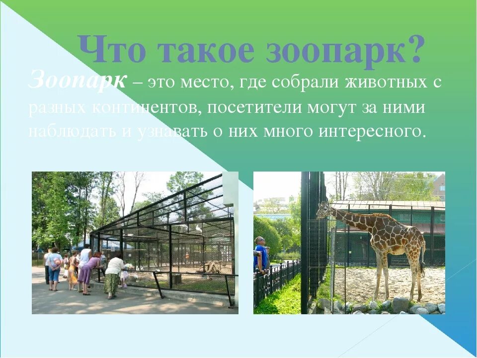 Презентация для детей зоопарк